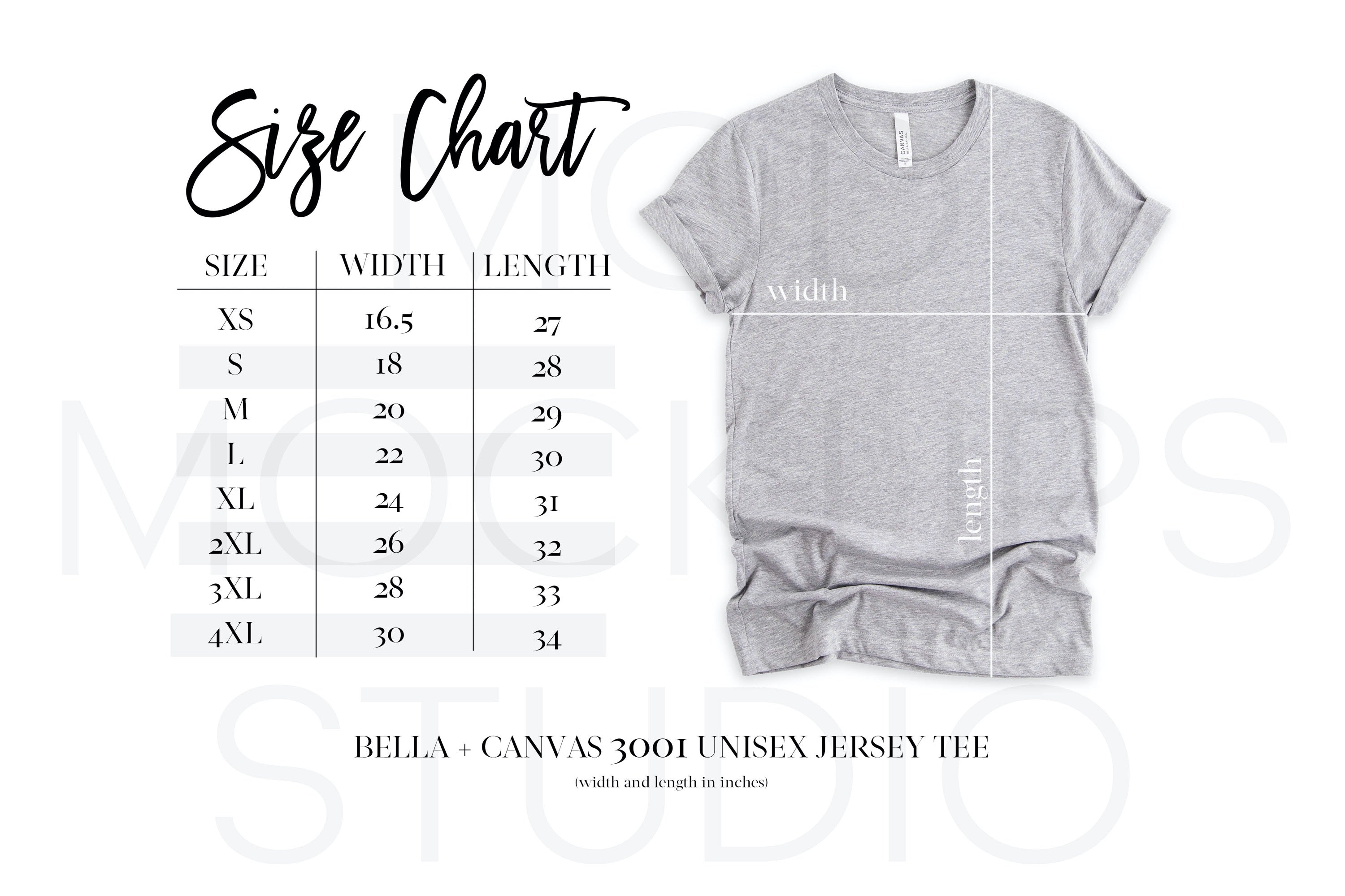 BELLA + CANVAS 3001